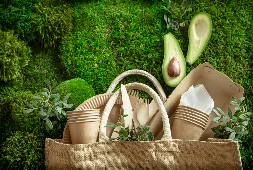 eco friendly, stylish, disposable, convenient, beautiful recyclable tableware.